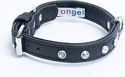 Angel Athens Rhinestone Standard Dog Collar, Black, 12 x 5/8-in slide 2 of 5