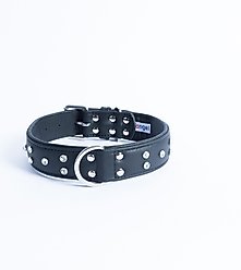Angel Athens Rhinestone Standard Dog Collar, Black, 26 x 1.5-in