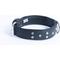 Show in main carousel: Angel Athens Rhinestone Standard Dog Collar, Black, 26 x 1.5-in slide 2 of 6