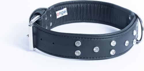 Show full view: Angel Athens Rhinestone Standard Dog Collar, Black, 26 x 1.5-in slide 2 of 6