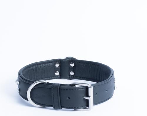 Show full view: Angel Athens Rhinestone Standard Dog Collar, Black, 26 x 1.5-in slide 3 of 6