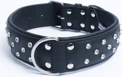Angel Athens Rhinestone Standard Dog Collar, Black, 30 x 2-in
