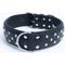 Show in main carousel: Angel Athens Rhinestone Standard Dog Collar, Black, 30 x 2-in slide 1 of 6
