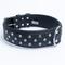 Show in main carousel: Angel Athens Rhinestone Standard Dog Collar, Black, 30 x 2-in slide 2 of 6
