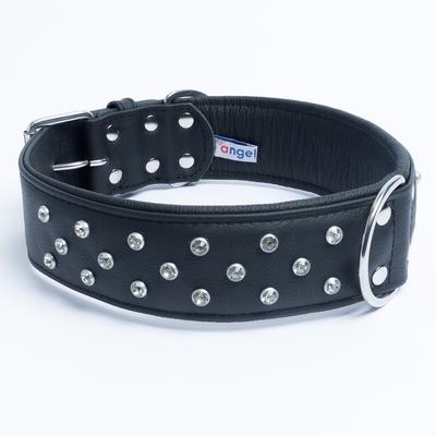 Show full view: Angel Athens Rhinestone Standard Dog Collar, Black, 30 x 2-in slide 2 of 6