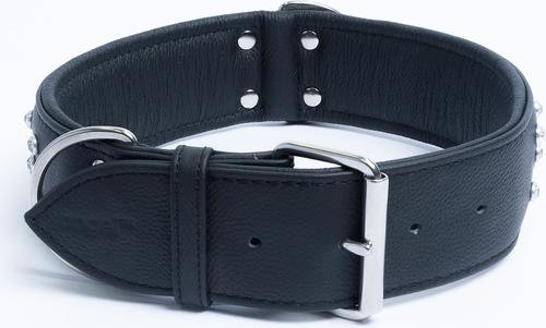 Show full view: Angel Athens Rhinestone Standard Dog Collar, Black, 30 x 2-in slide 3 of 6