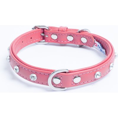 Angel Angel Athens Rhinestone Standard Dog Collar, Pink, 16 x 3/4-in