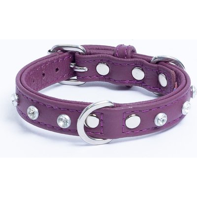 Angel Angel Athens Rhinestone Standard Dog Collar, Purple, 14 x 3/4-in