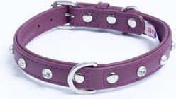 Angel Athens Rhinestone Standard Dog Collar, Purple, 16 x 3/4-in