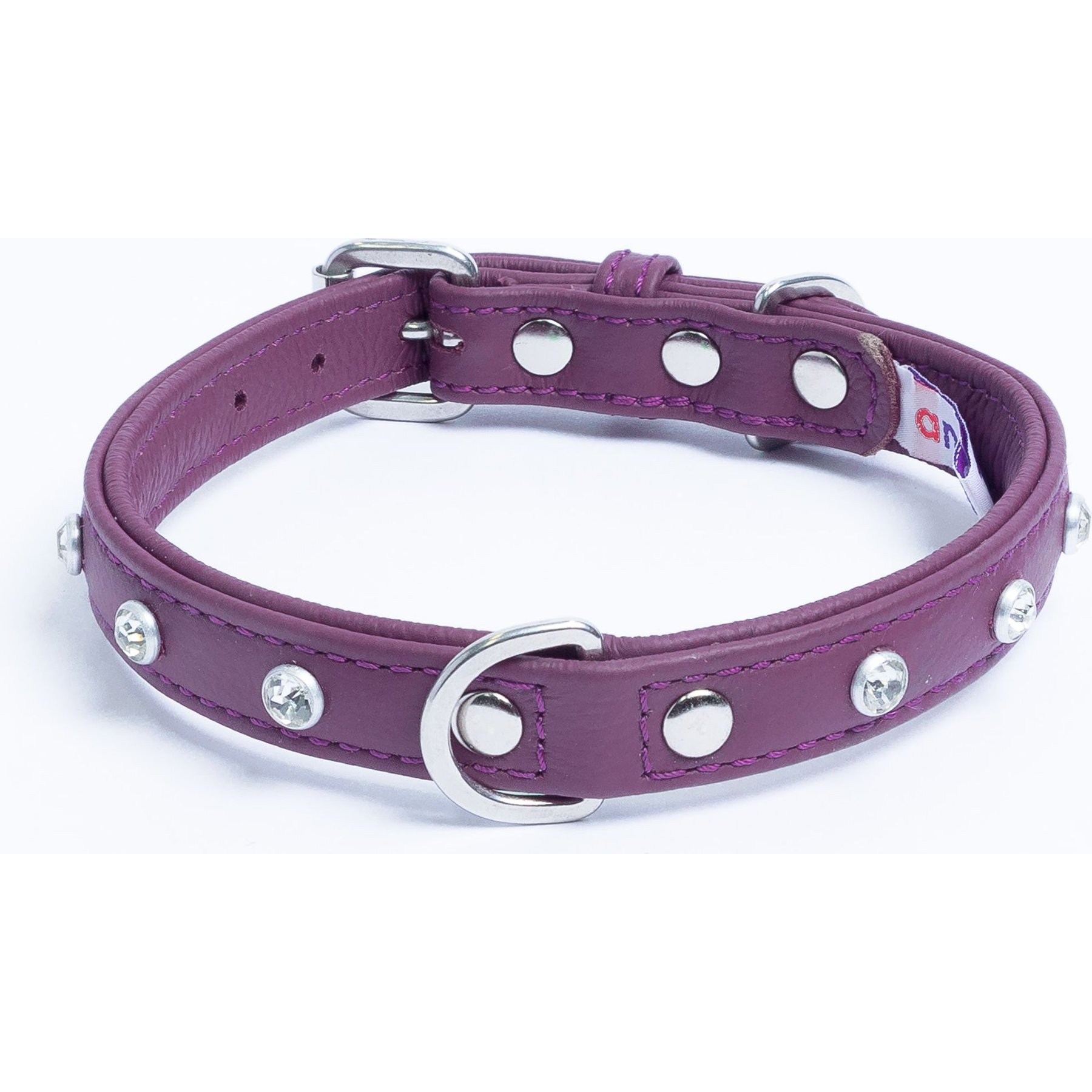 Angel Athens Rhinestone Standard Dog Collar, Purple, 16 x 3/4-in