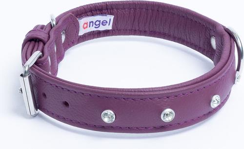 Show full view: Angel Athens Rhinestone Standard Dog Collar, Purple, 20 x 1-in slide 2 of 6