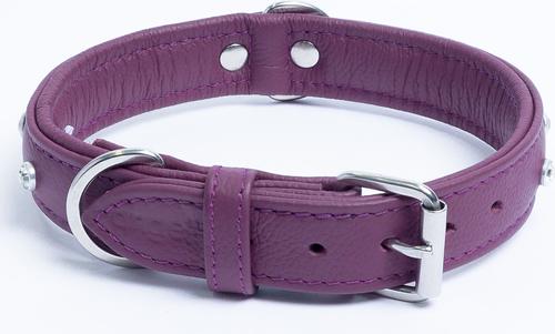 Show full view: Angel Athens Rhinestone Standard Dog Collar, Purple, 20 x 1-in slide 3 of 6