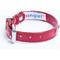 Show in main carousel: Angel Athens Rhinestone Standard Dog Collar, Red, 10 x 1/2-in slide 2 of 6