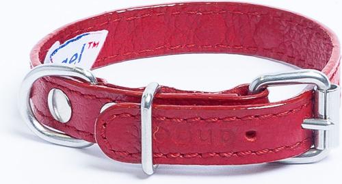 Show full view: Angel Athens Rhinestone Standard Dog Collar, Red, 10 x 1/2-in slide 3 of 6