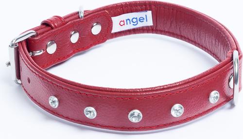 Show full view: Angel Athens Rhinestone Standard Dog Collar, Red, 20 x 1-in slide 2 of 7