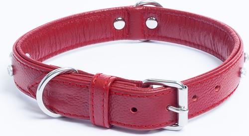 Show full view: Angel Athens Rhinestone Standard Dog Collar, Red, 20 x 1-in slide 3 of 7