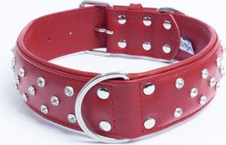 Angel Athens Rhinestone Standard Dog Collar, Red, 30 x 2-in