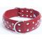 Show in main carousel: Angel Athens Rhinestone Standard Dog Collar, Red, 30 x 2-in slide 1 of 7