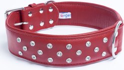 Angel Athens Rhinestone Standard Dog Collar, Red, 30 x 2-in slide 2 of 5