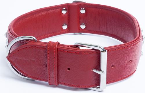 Show full view: Angel Athens Rhinestone Standard Dog Collar, Red, 30 x 2-in slide 4 of 7