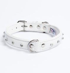 Angel Athens Rhinestone Standard Dog Collar, White, 20 x 1-in