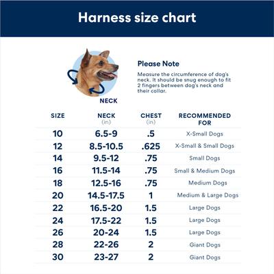 Show full view: Angel Athens Rhinestone Standard Dog Collar, White, 26 x 1.5-in slide 3 of 6