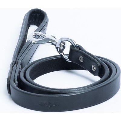 Angel Angel Dallas Dog Leash, Black, 48 x 3/4-in