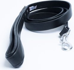 Angel Dallas Dog Leash, Black, 72 x 3/4-in