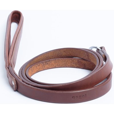 Angel Angel Dallas Dog Leash, Brown, 72 x 3/4-in