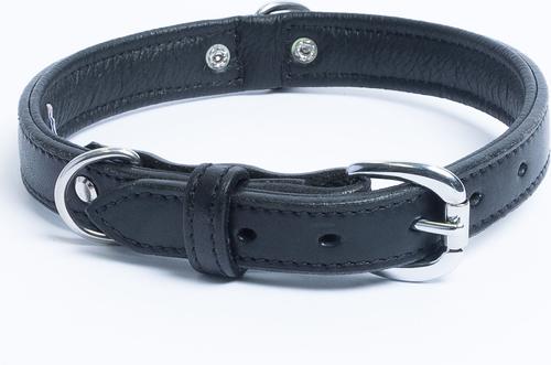 Show full view: Angel Dallas Standard Dog Collar, 16 x 3/4-in slide 3 of 6