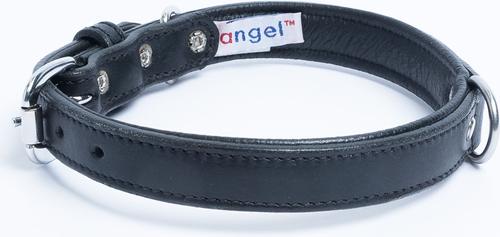 Show full view: Angel Dallas Standard Dog Collar, 18 x 3/4-in slide 3 of 5