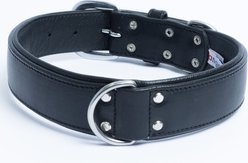 Angel Dallas Standard Dog Collar, 24 x 1.5-in