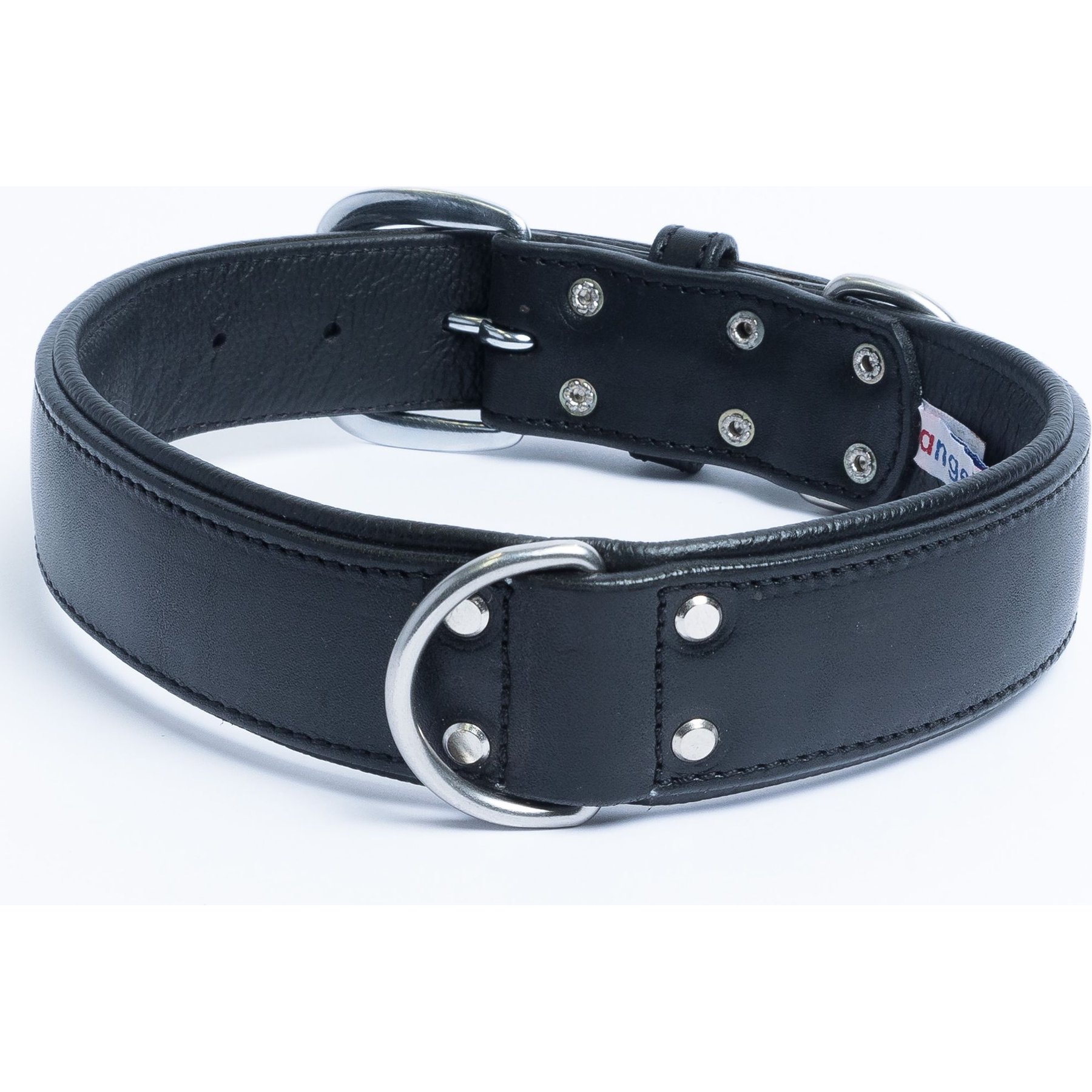 Angel Dallas Standard Dog Collar, 24 x 1.5-in