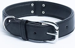 Angel Dallas Standard Dog Collar, 24 x 1.5-in slide 2 of 5