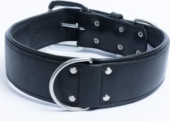Angel Dallas Standard Dog Collar, 26 x 2-in