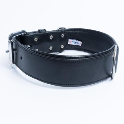 Show full view: Angel Dallas Standard Dog Collar, 26 x 2-in slide 3 of 5