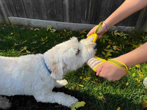 Show full view: Angel Endurance Jute Tug 2-Handle Tough Dog Tug Toy, Black slide 4 of 5