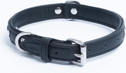 Show full view: Angel Rotterdam Bones Standard Dog Collar, Black, 18 x 3/4-in slide 4 of 7