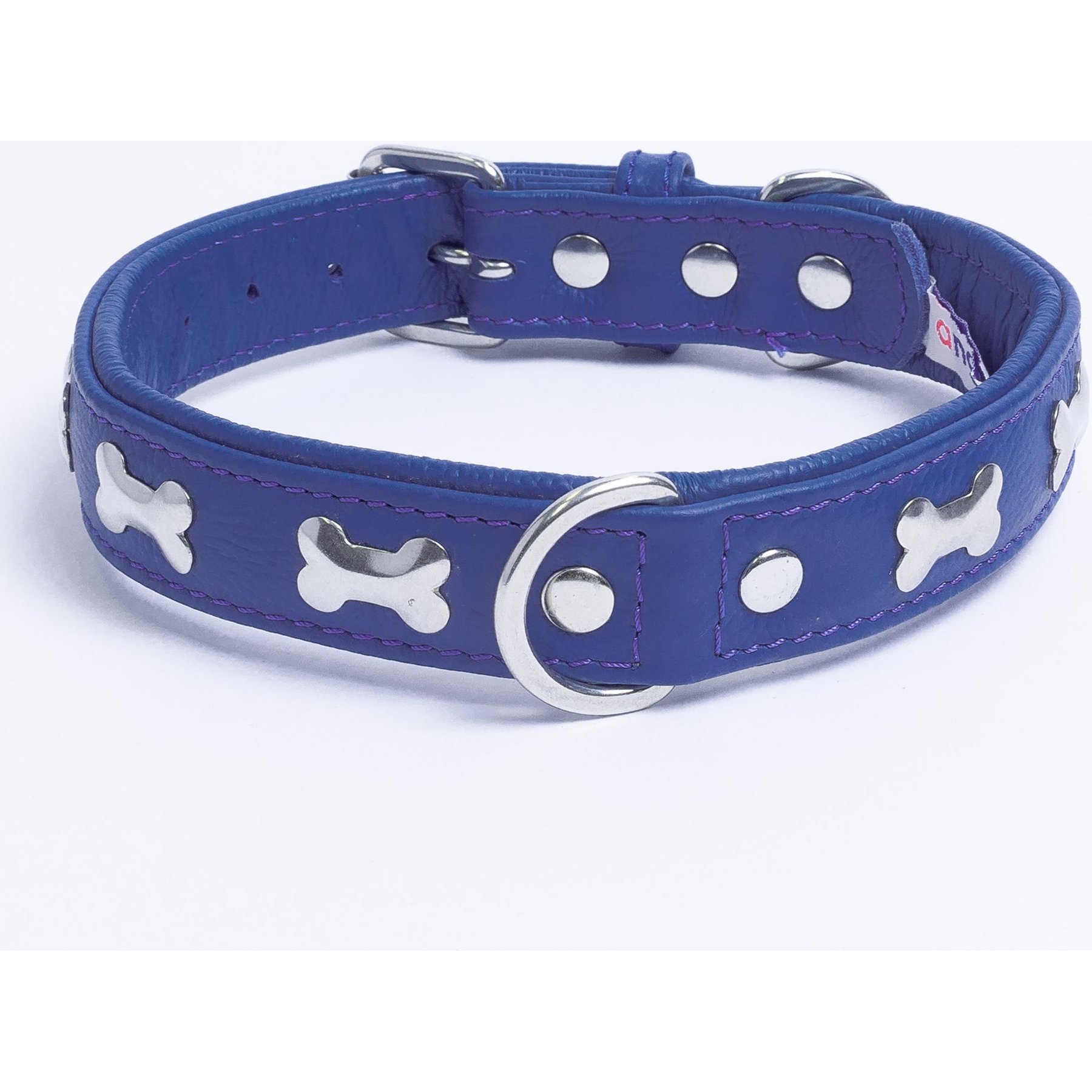 Angel Rotterdam Bones Standard Dog Collar, Blue, 20 x 1-in