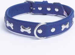 Angel Rotterdam Bones Standard Dog Collar, Blue, 22 x 1-in