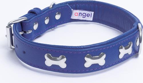 Show full view: Angel Rotterdam Bones Standard Dog Collar, Blue, 22 x 1-in slide 3 of 8