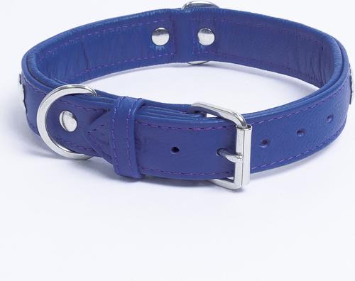 Show full view: Angel Rotterdam Bones Standard Dog Collar, Blue, 22 x 1-in slide 4 of 8