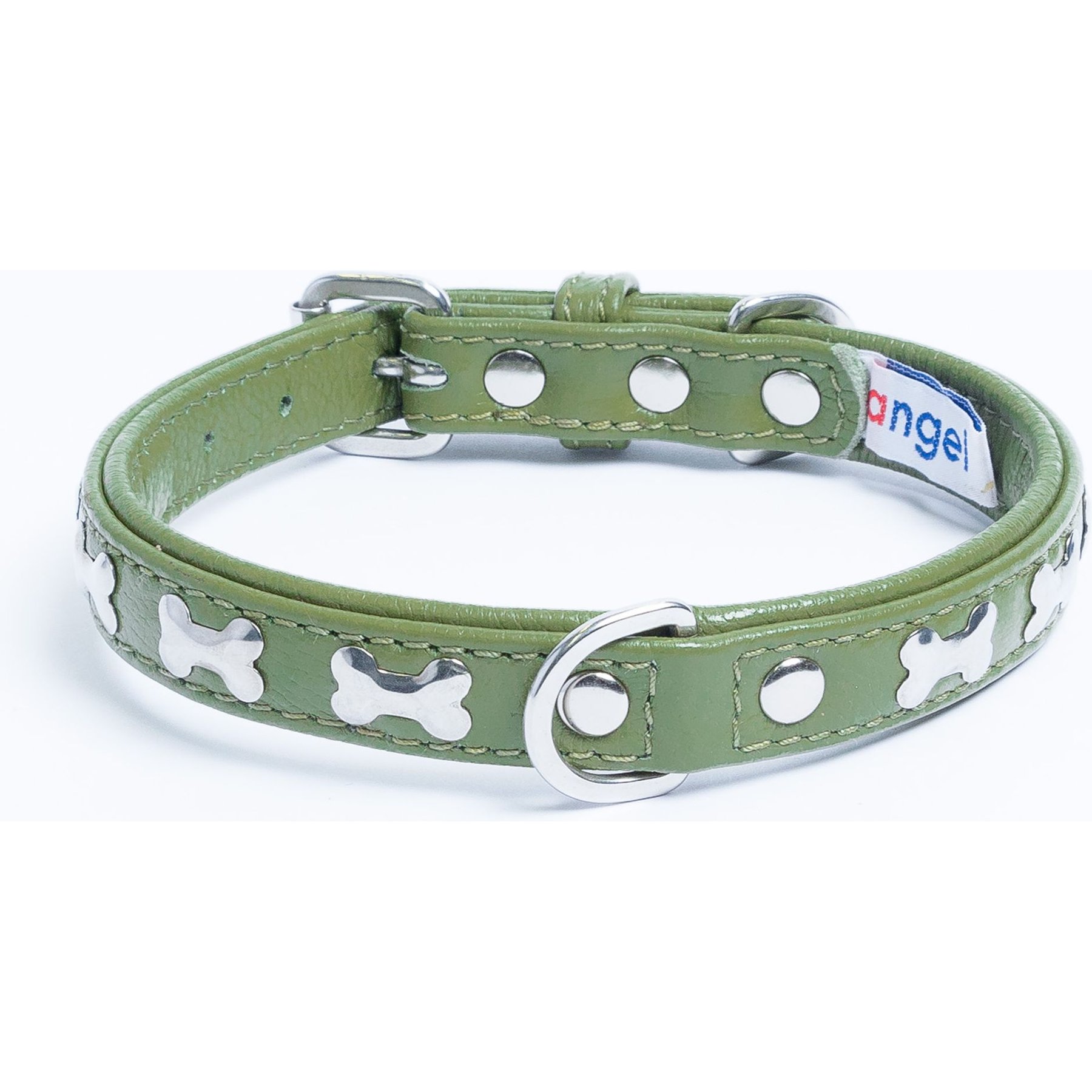 Angel Rotterdam Bones Standard Dog Collar, Green, 14 x 3/4-in