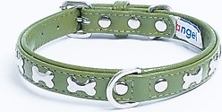 Angel Rotterdam Bones Standard Dog Collar, Green, 16 x 3/4-in