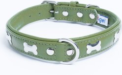Angel Rotterdam Bones Standard Dog Collar, Green, 20 x 1-in slide 1 of 5