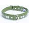 Show in main carousel: Angel Rotterdam Bones Standard Dog Collar, Green, 20 x 1-in slide 1 of 6