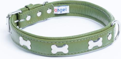 Show full view: Angel Rotterdam Bones Standard Dog Collar, Green, 20 x 1-in slide 2 of 6