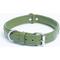 Show in main carousel: Angel Rotterdam Bones Standard Dog Collar, Green, 20 x 1-in slide 3 of 6