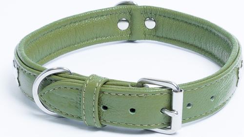 Show full view: Angel Rotterdam Bones Standard Dog Collar, Green, 20 x 1-in slide 3 of 6