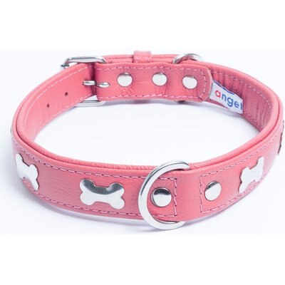 Angel Angel Rotterdam Bones Standard Dog Collar, Pink, 20 x 1-in